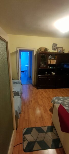 Obor, Colentina, stradal, Teiul Doamnei 10 minute metrou