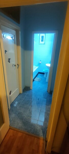 Obor, Colentina, stradal, Teiul Doamnei 10 minute metrou